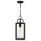 Quoizel Bramshaw 1-Light Matte Black Outdoor Hanging Lantern BRAM1907MBK - alternate 5